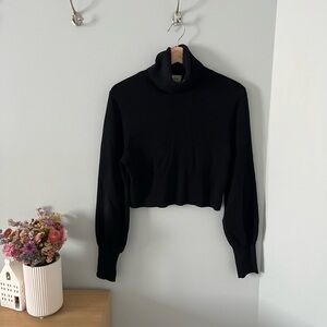Wilfred Classic Black Turtleneck Sweater